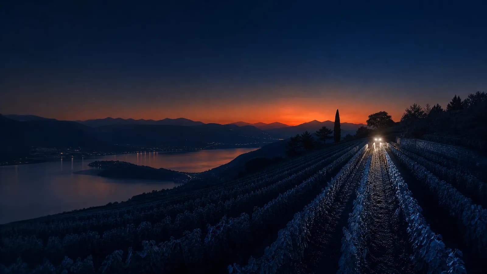 Winery and Vineyard Security in the Okanagan